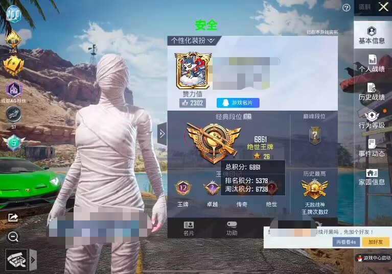 和平精英辅助软件的发展与影响分析